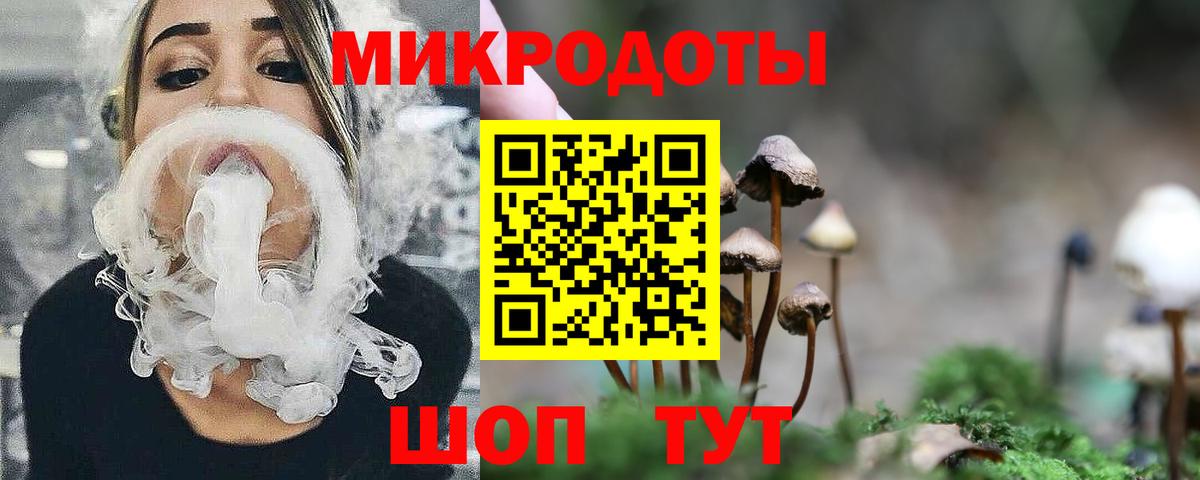 Псилоцибиновые грибы Cubensis  Вход с VPN  Строитель 